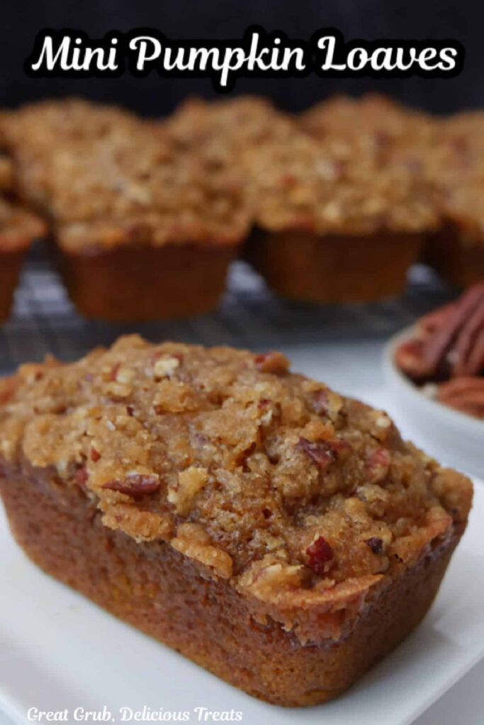 Mini Pumpkin Loaves - Great Grub, Delicious Treats