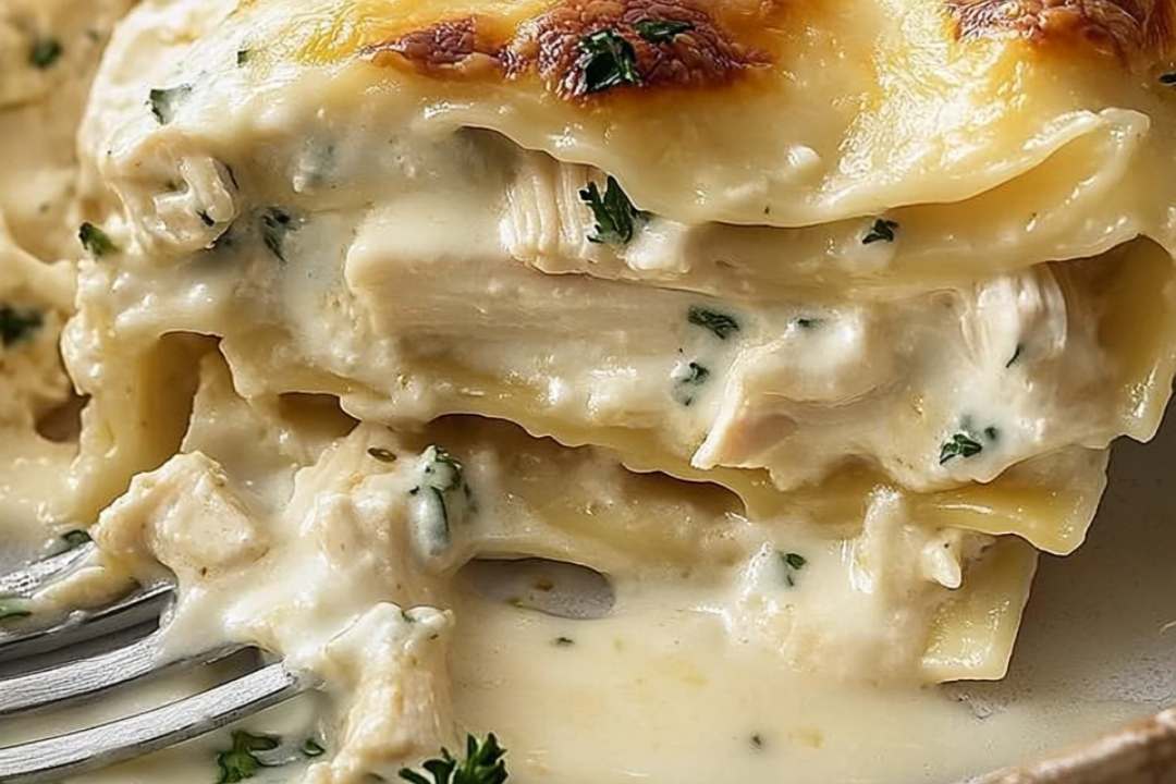 Cheesy Chicken Alfredo Lasagna | JustWorthi