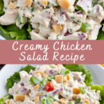 Creamy Chicken Salad Recipe | Cheff Recipes