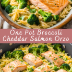 One Pot Broccoli Cheddar Salmon Orzo Recipe