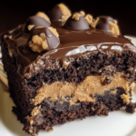 Peanut Butter Cup Dump Cake